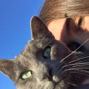 Meet your Posher, Bailey